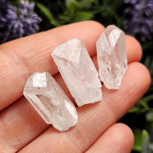 Danburite Crystal
