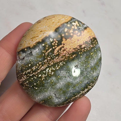 Orbicular Ocean Jasper Palm Stone