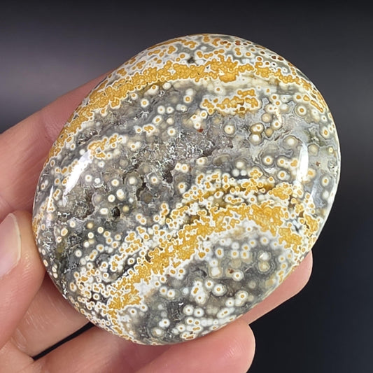 Orbicular Ocean Jasper Palm Stone