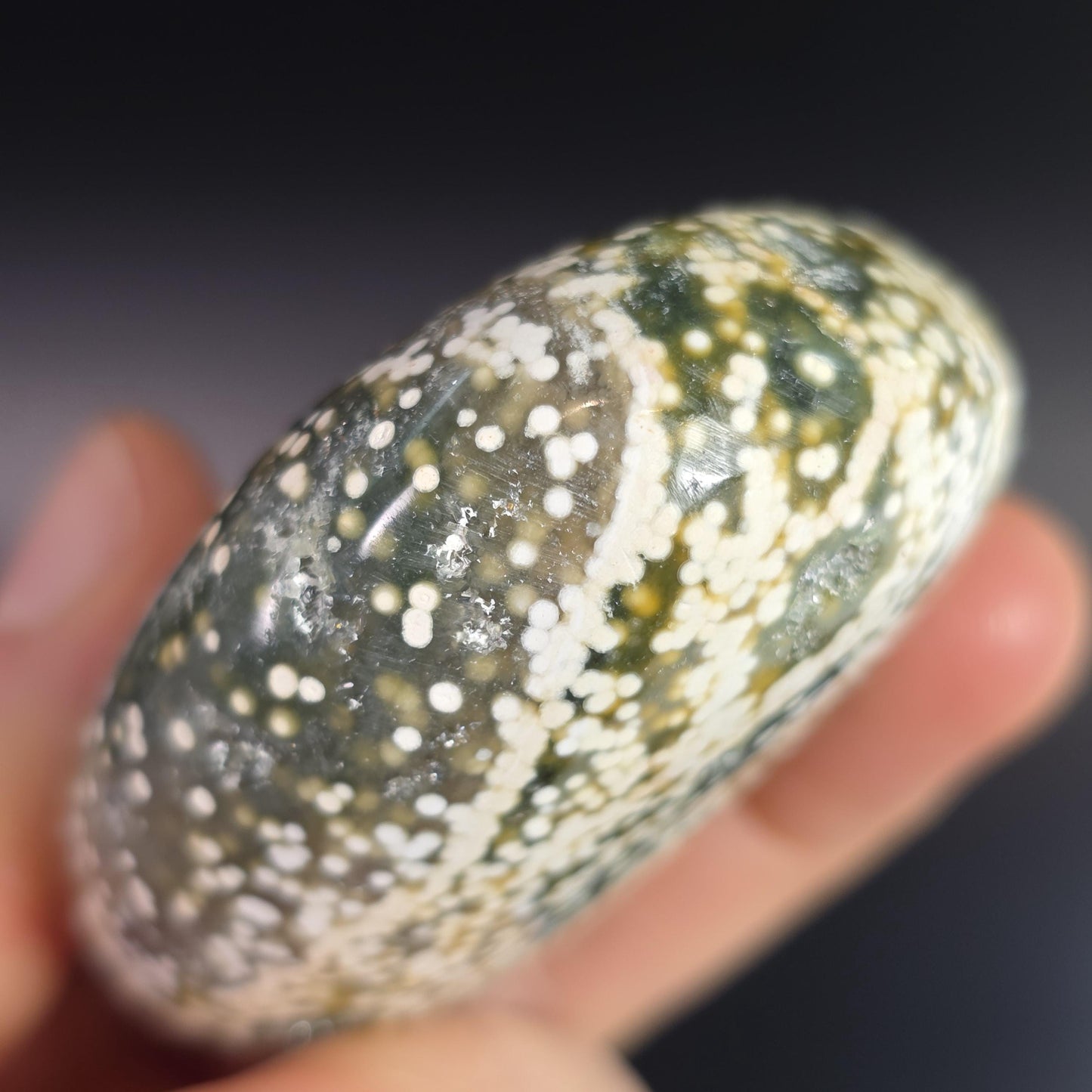 Orbicular Ocean Jasper Palm Stone