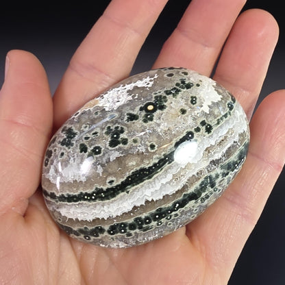Orbicular Ocean Jasper Palm Stone