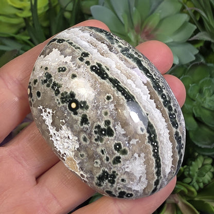 Orbicular Ocean Jasper Palm Stone