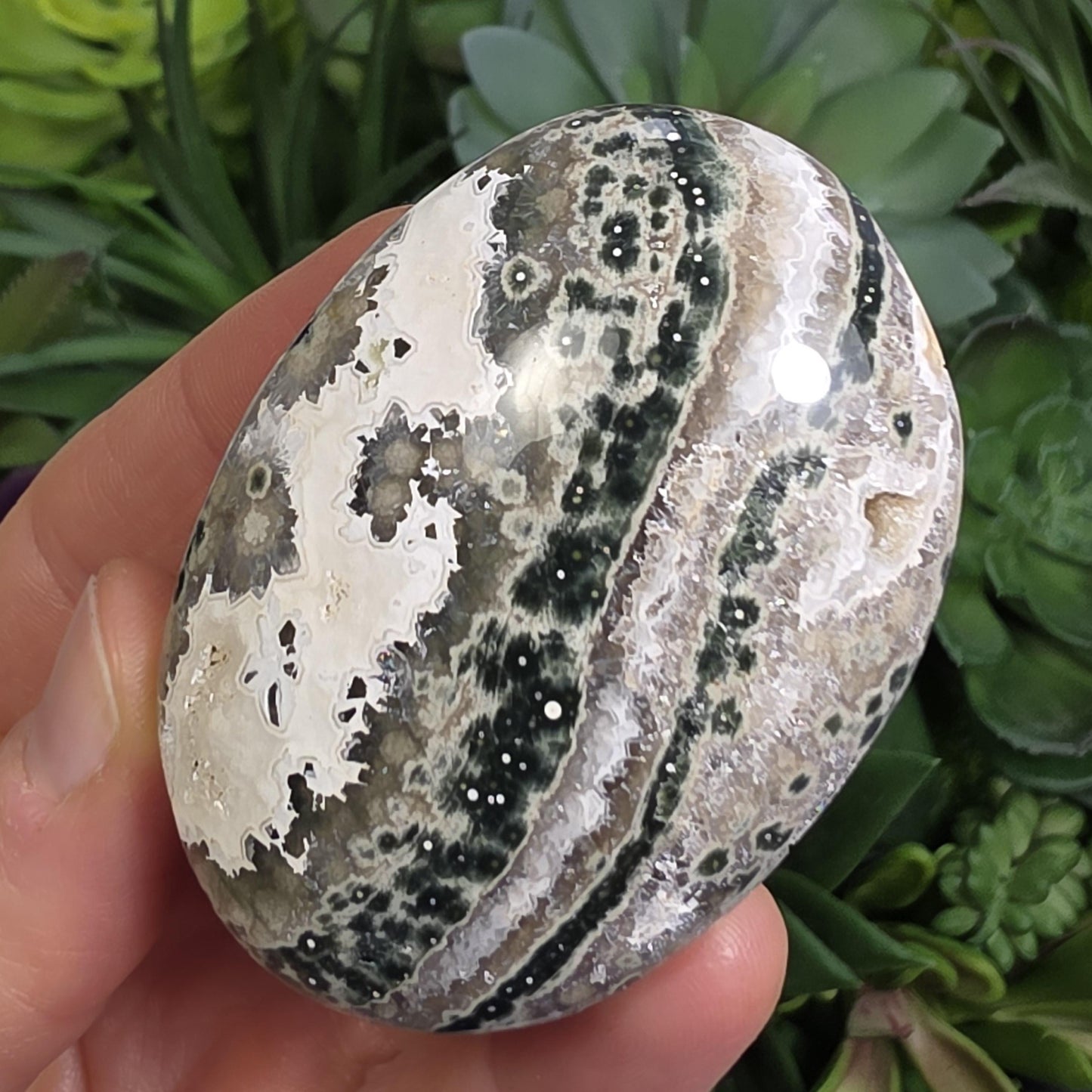 Orbicular Ocean Jasper Palm Stone