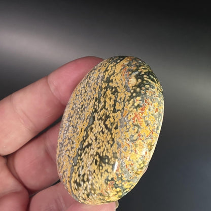Orbicular Ocean Jasper Palm Stone