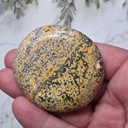Orbicular Ocean Jasper Palm Stone