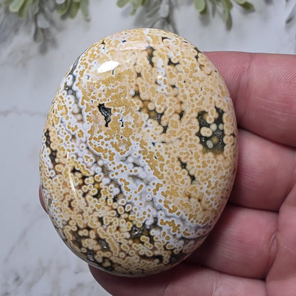 Orbicular Ocean Jasper Palm Stone