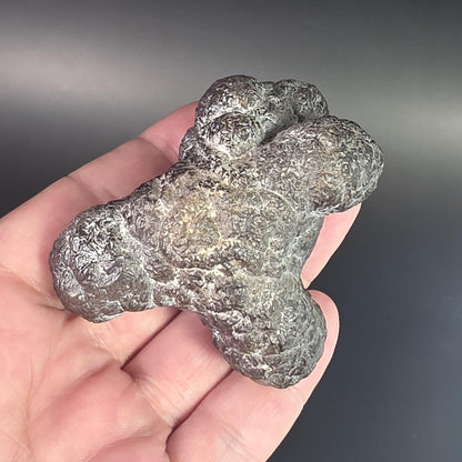 Prophecy Stone Specimen