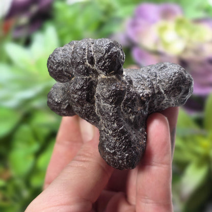 Prophecy Stone Specimen