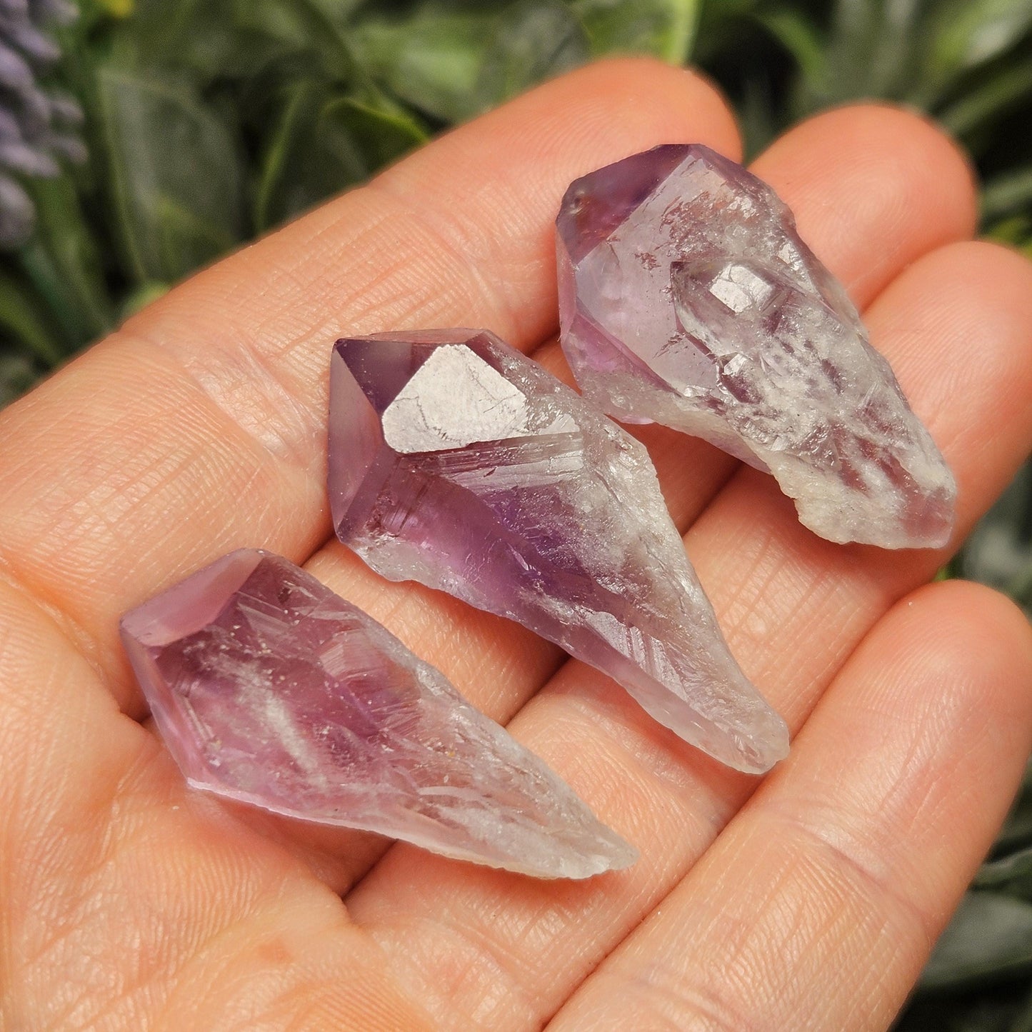 Dragons Tooth Amethyst