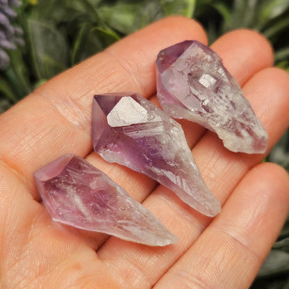 Dragons Tooth Amethyst