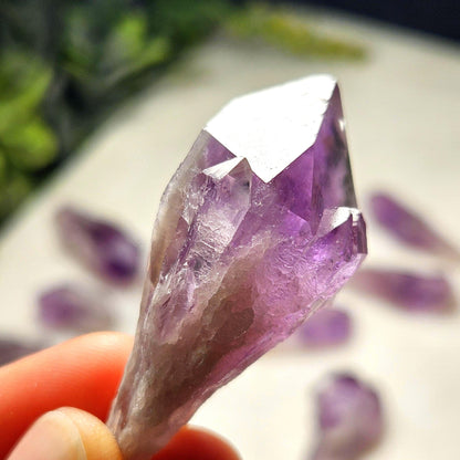 Dragons Tooth Amethyst