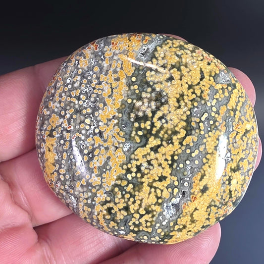 Orbicular Ocean Jasper Palm Stone