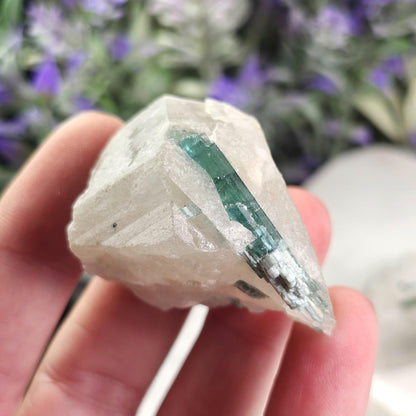 Tourmaline in Quartz Crystal