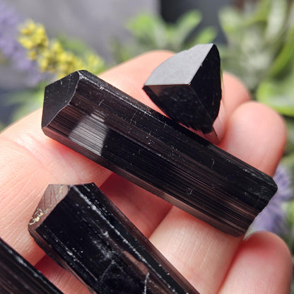 Terminated Black Tourmaline Crystal