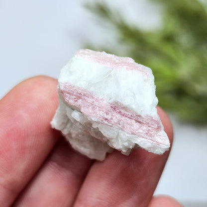 Pink Tourmaline in Quartz