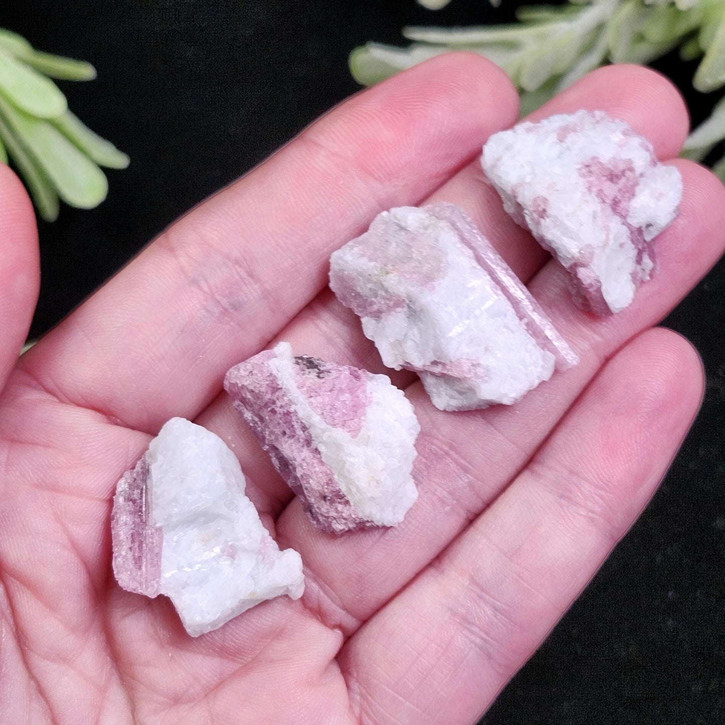 Pink Tourmaline in Quartz