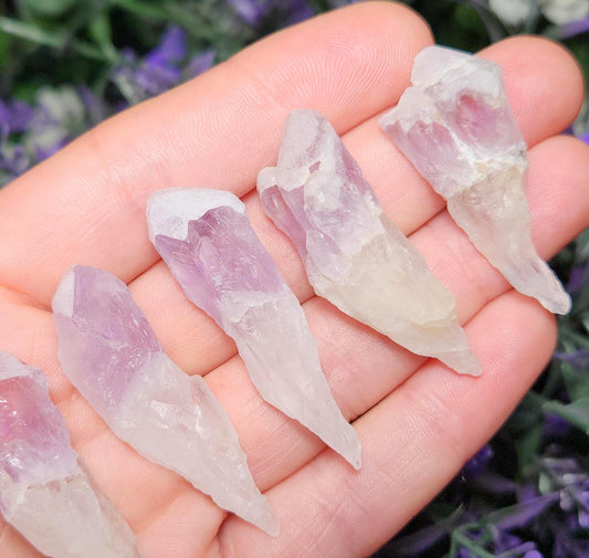 Sugar Capped Amethyst Points