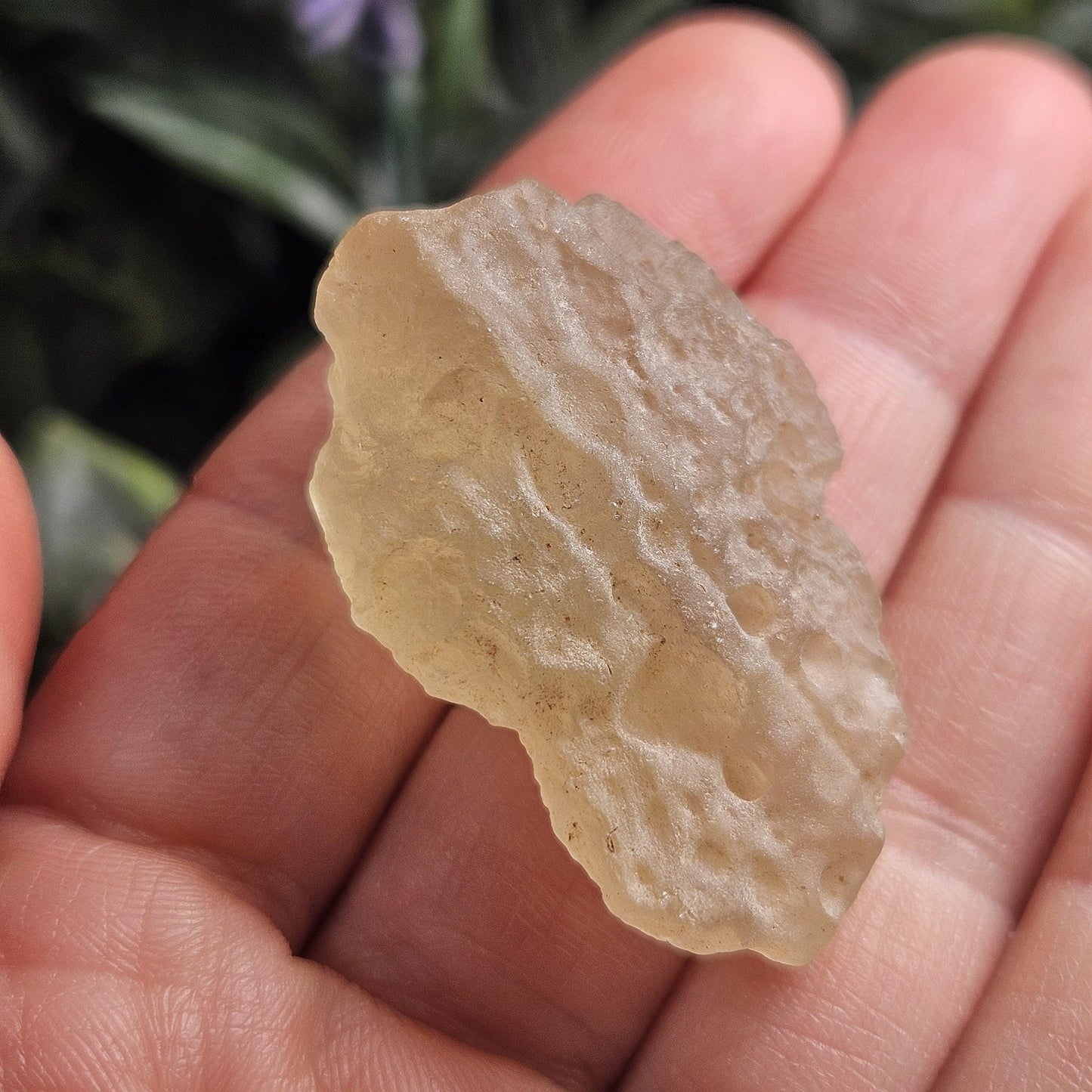 Libyan Desert Glass Specimen