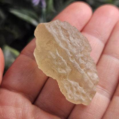 Libyan Desert Glass Specimen