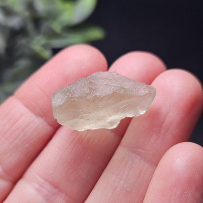 Libyan Desert Glass Specimen
