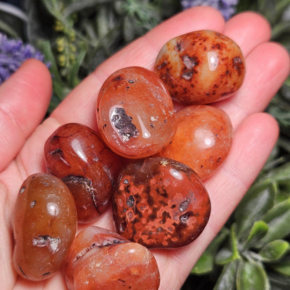 Tumbled Carnelian Crystal
