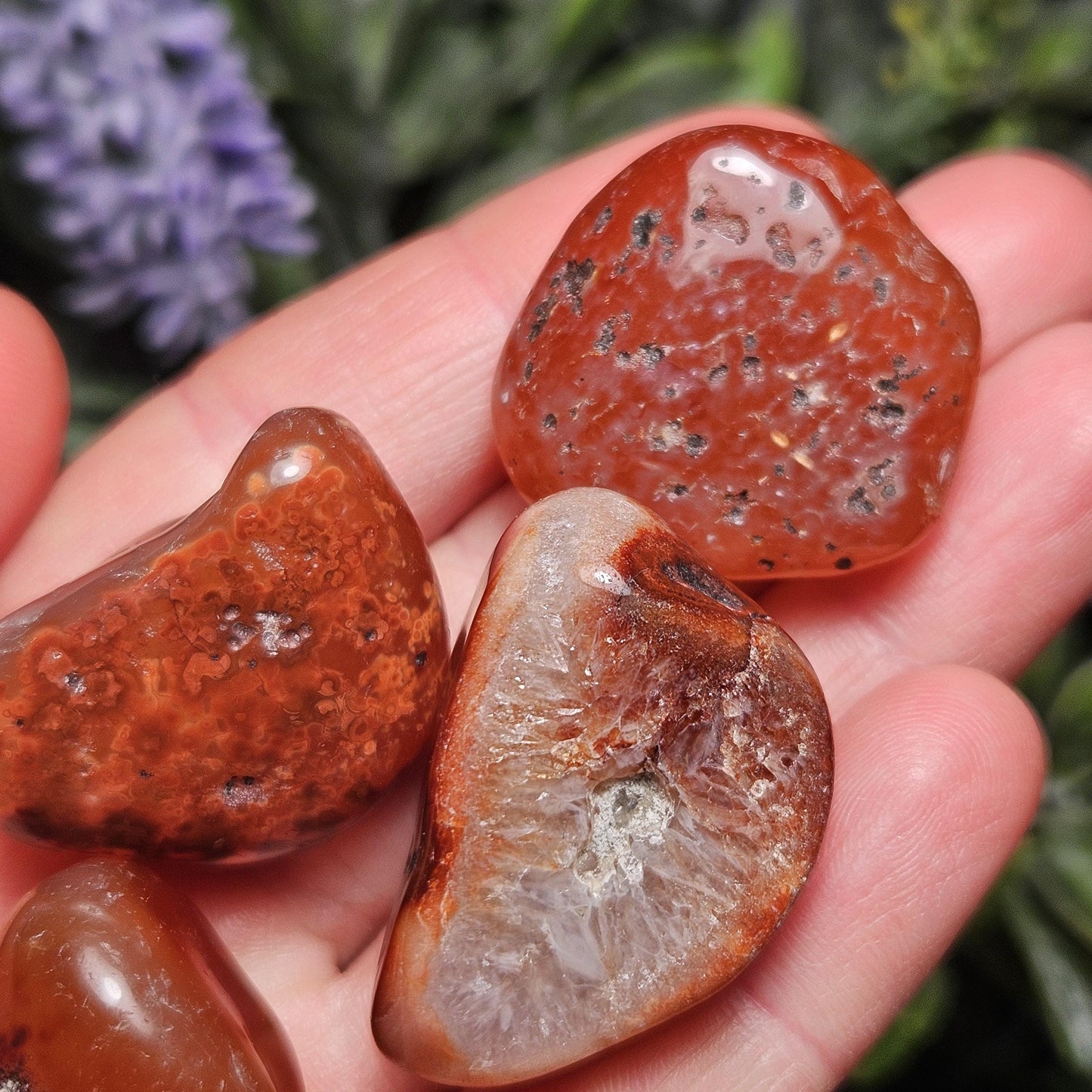 Tumbled Carnelian Crystal
