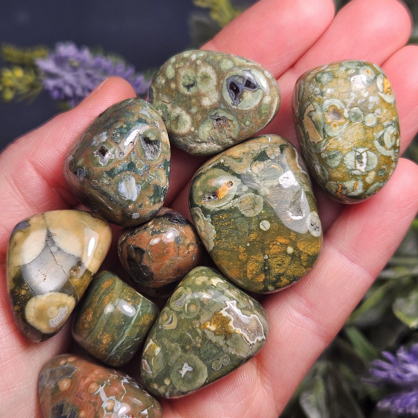Australian Rainforest Jasper