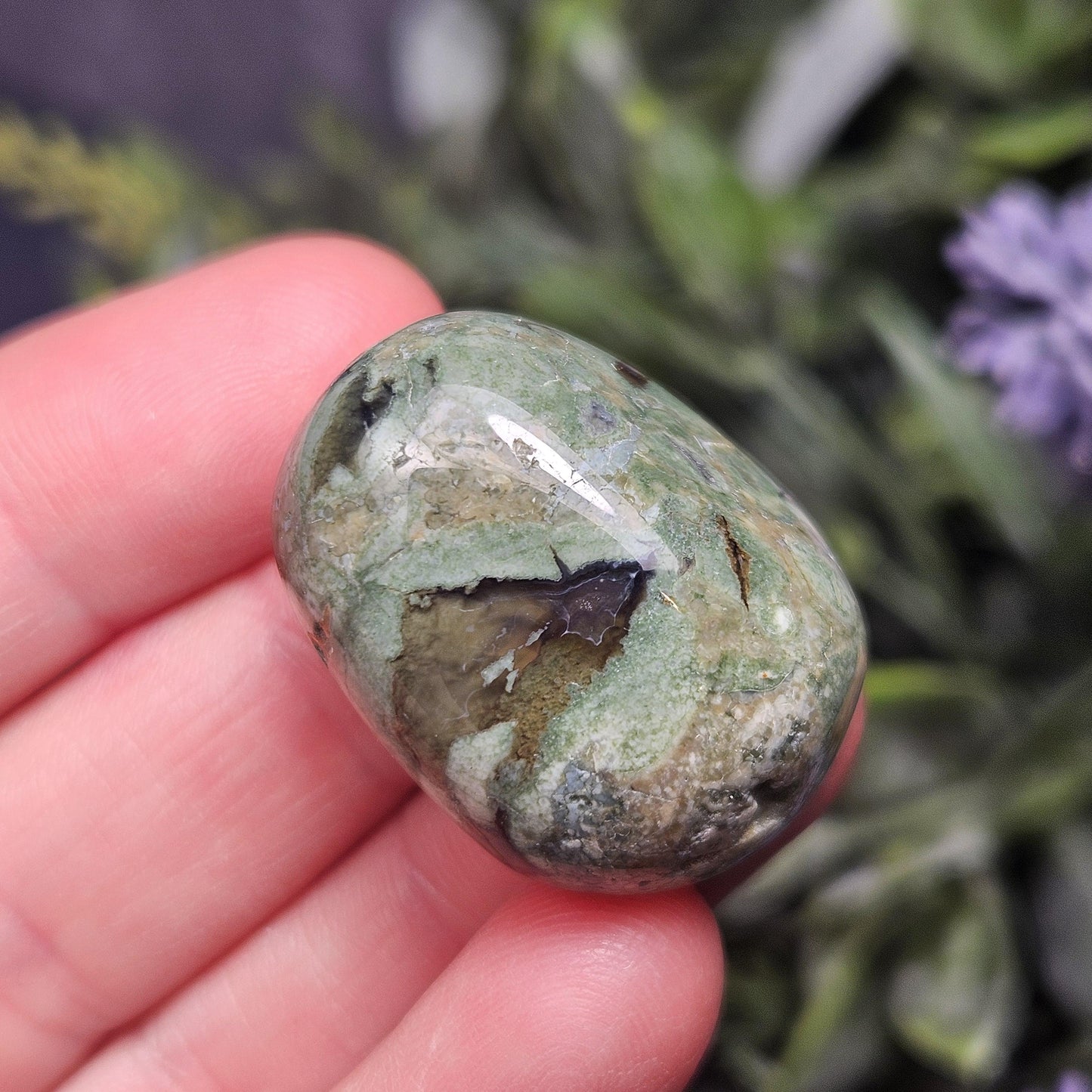 Australian Rainforest Jasper