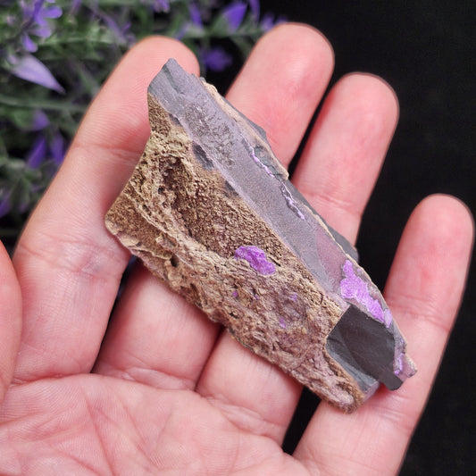 Fibrous Sugilite