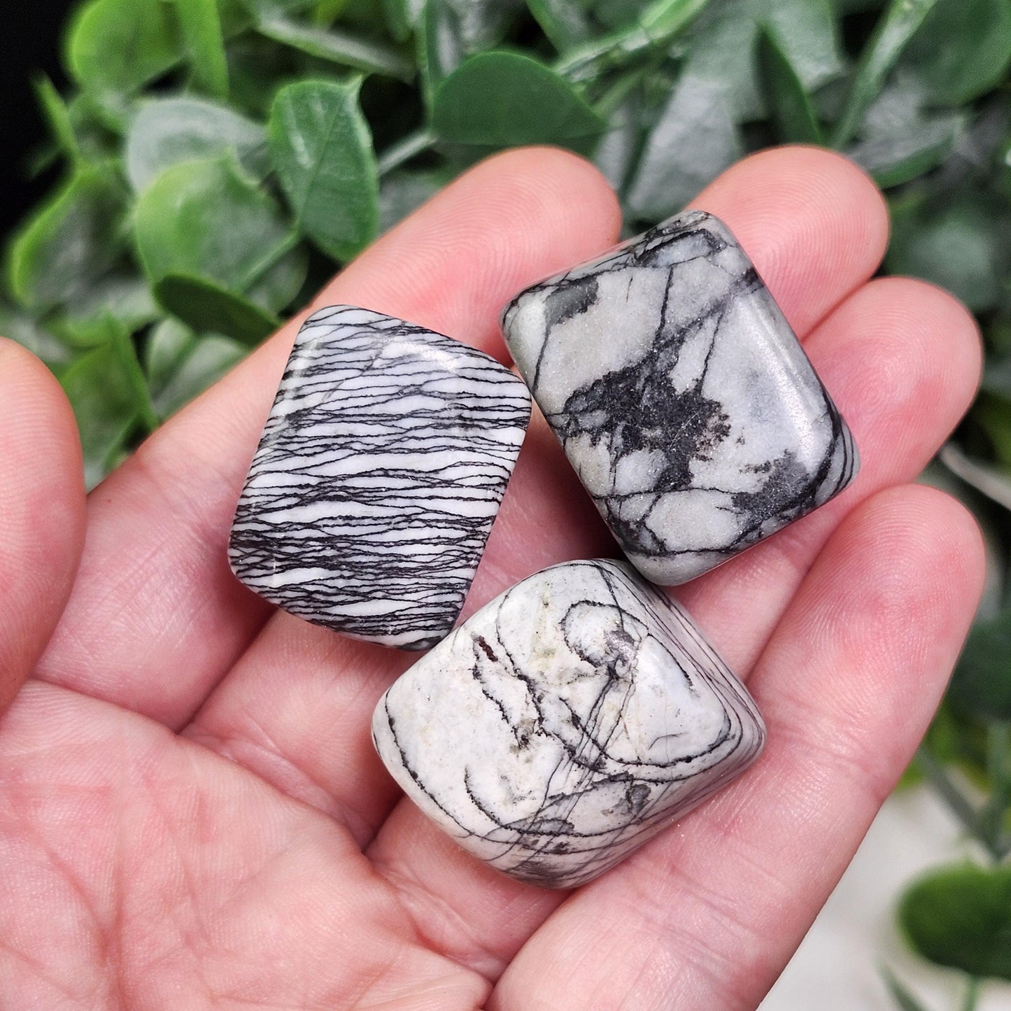 Spider Web Jasper Crystal