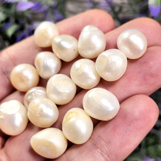 Natural Pearl