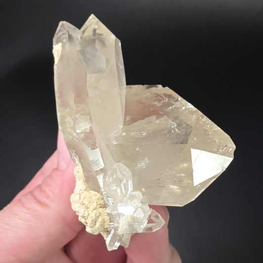 Twin MANIFESTATION Himalayan Quartz