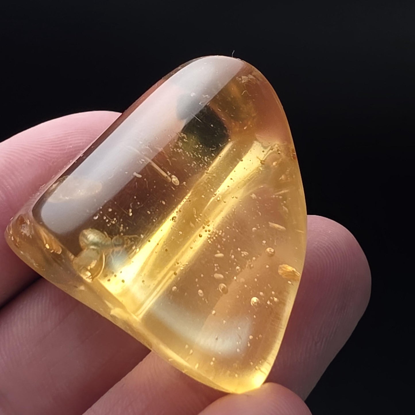 Amber with Bugs & Static ENHYDRO
