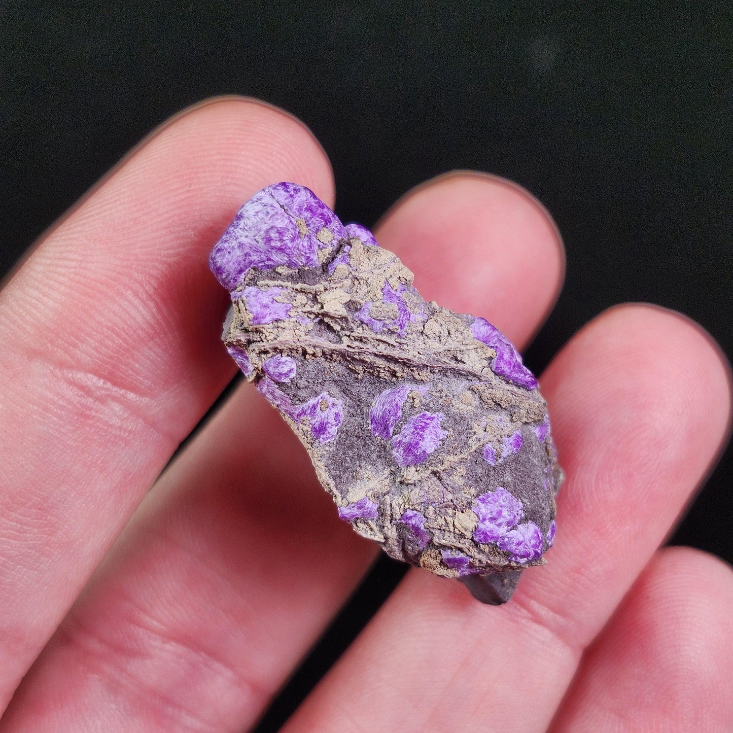 Fibrous Sugilite