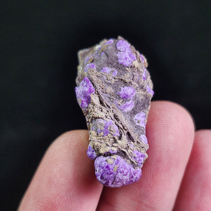 Fibrous Sugilite