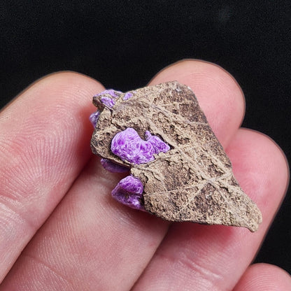 Fibrous Sugilite