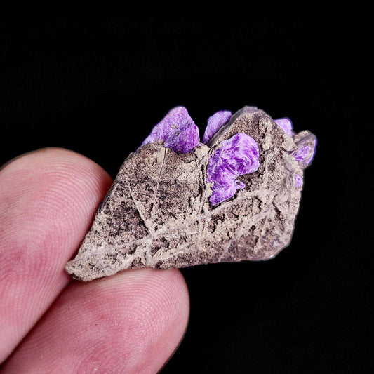 Fibrous Sugilite