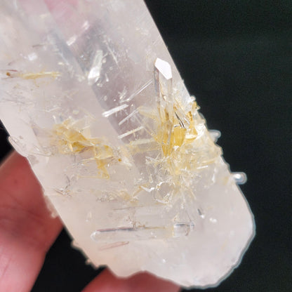 Blue Smoke Lemurian