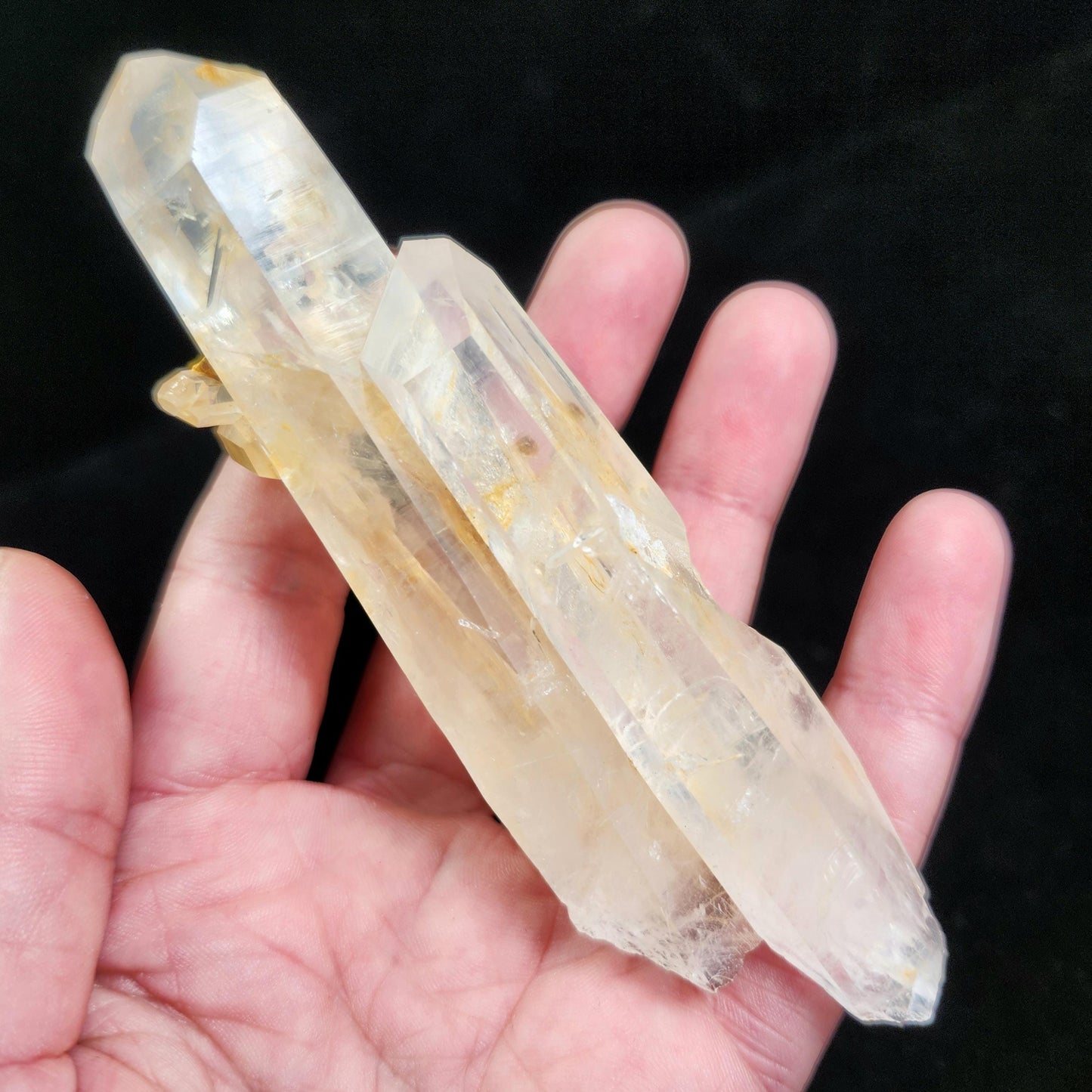 Blue Smoke Lemurian