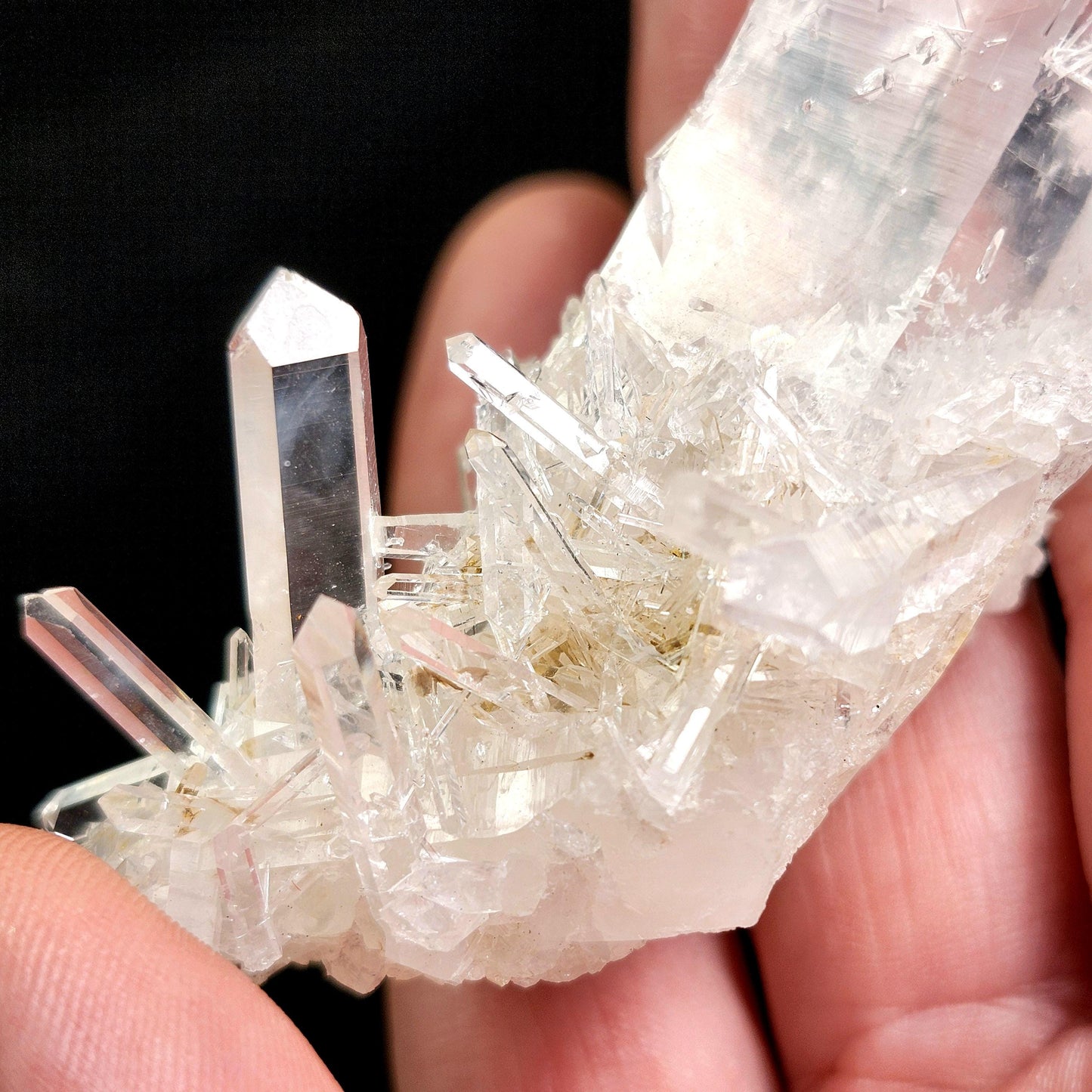 Blue Smoke Lemurian