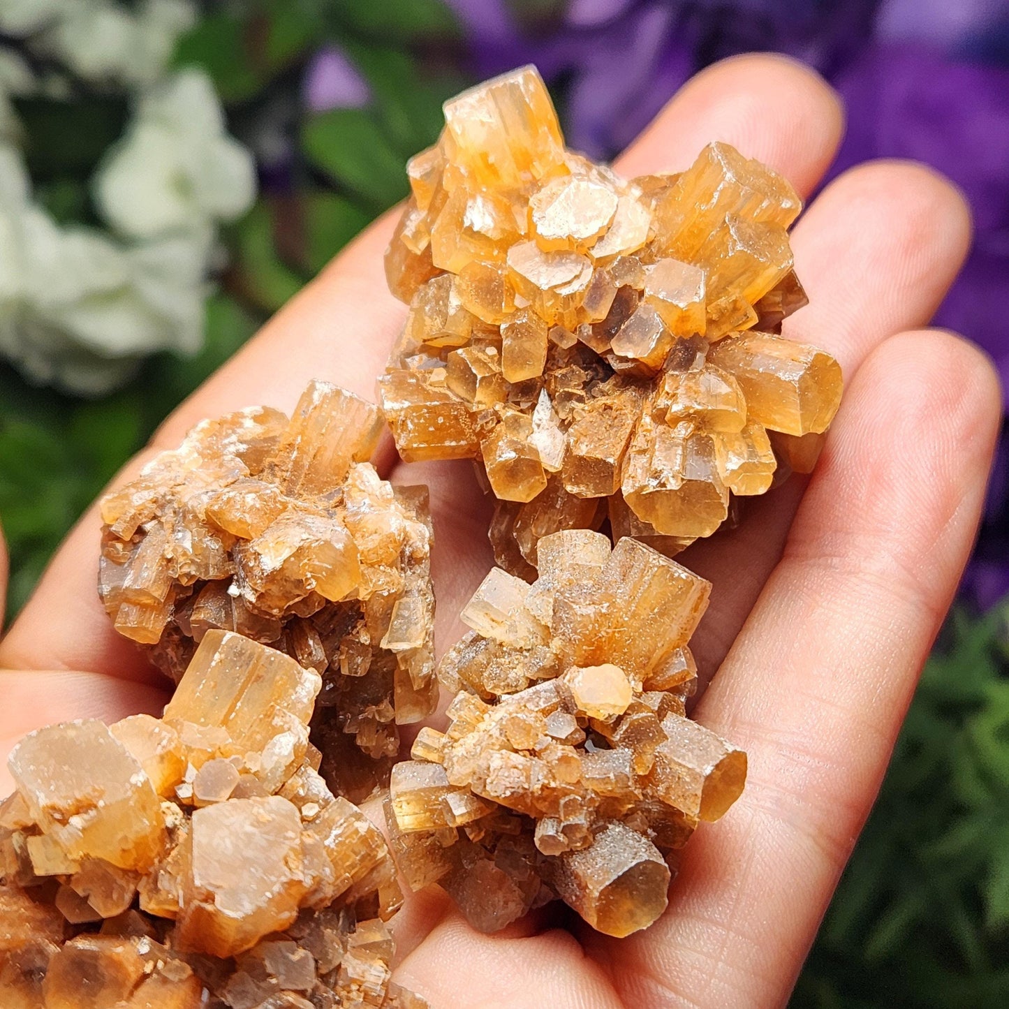 Aragonite Star Cluster
