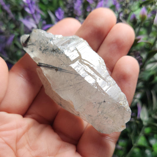May include: A clear quartz crystal with black tourmaline inclusions. The crystal is translucent and has a rough, natural surface.