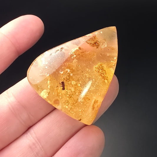 Amber with Bugs & Static ENHYDRO