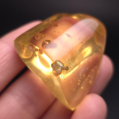 Amber with Bugs & Static ENHYDRO 11.2g, Polished Amber Specimen from Colombia