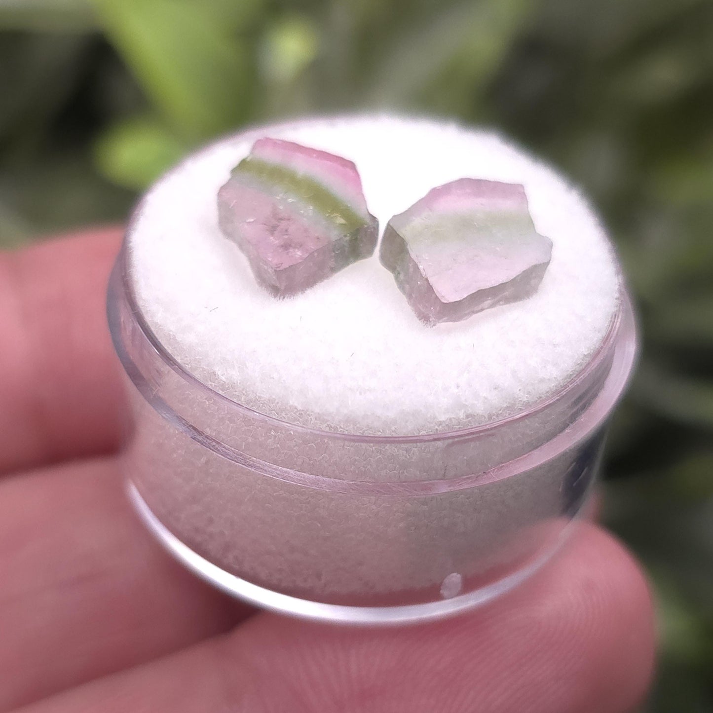 Watermelon Tourmaline Slices