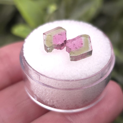 Watermelon Tourmaline Crystal Slice Pair of Specimens (3.7 carats)