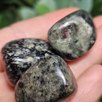 Eudialyte Crystal / Polished Eudialyte / Tumbled Eudialyte / Eudialyte Stone / UV Reactive / Rare Crystal / Polished Crystal / Heart Chakra