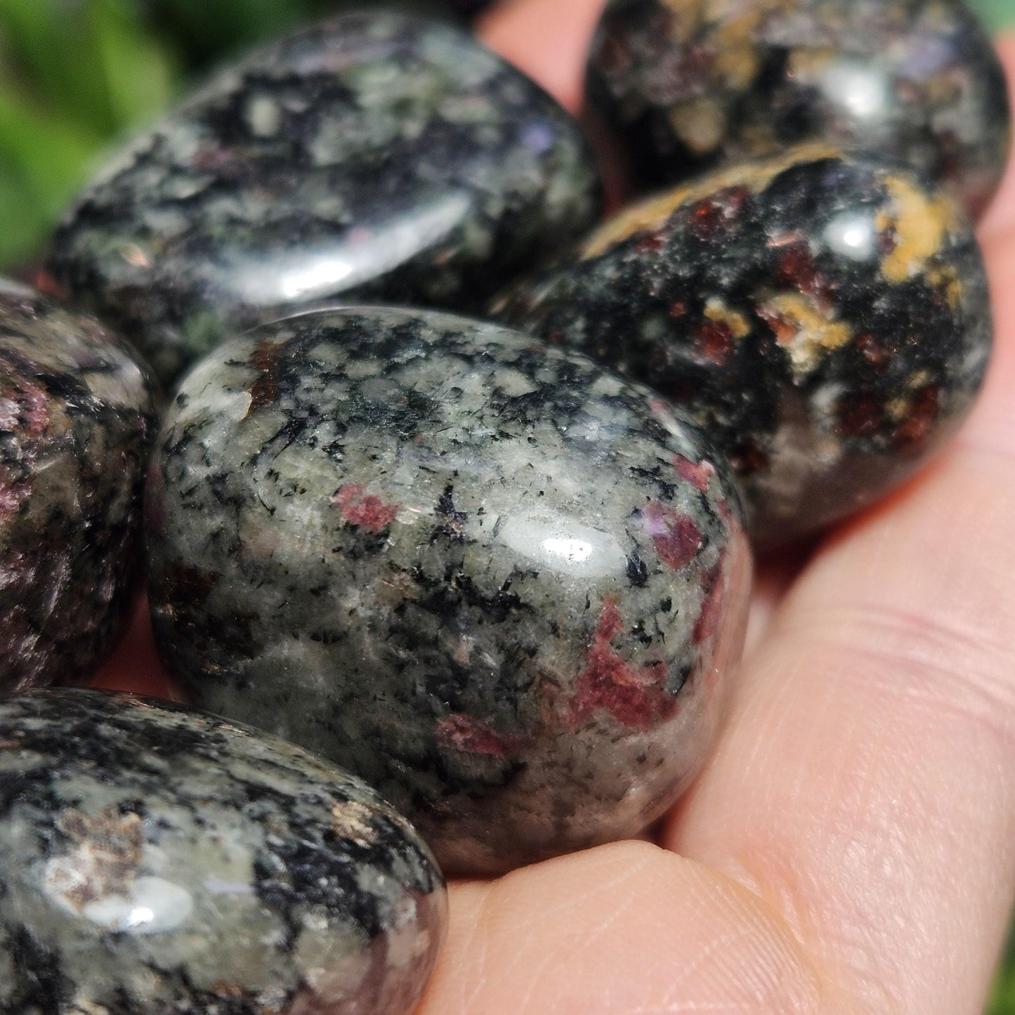Eudialyte Crystal / Polished Eudialyte / Tumbled Eudialyte / Eudialyte Stone / UV Reactive / Rare Crystal / Polished Crystal / Heart Chakra