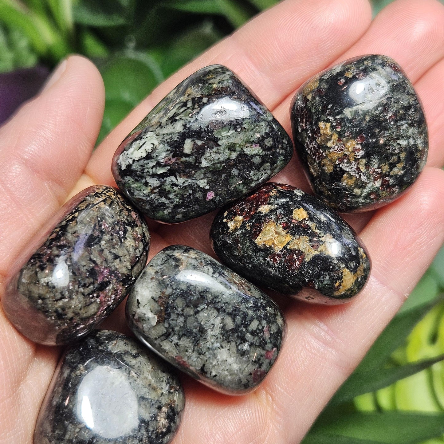 Eudialyte Crystal / Polished Eudialyte / Tumbled Eudialyte / Eudialyte Stone / UV Reactive / Rare Crystal / Polished Crystal / Heart Chakra