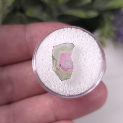 Watermelon Tourmaline Slice
